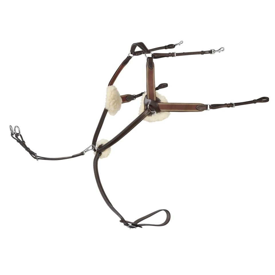 Prestıge 5 points breastplate 3D027