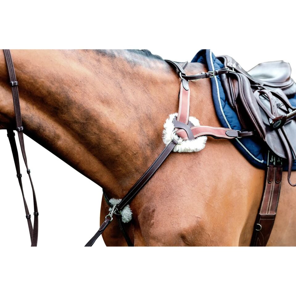 Prestıge 5 points breastplate 3D027