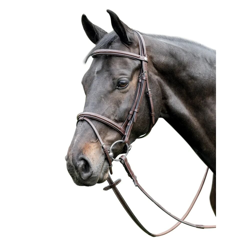 Prestıge Leather raised bridle 3E037